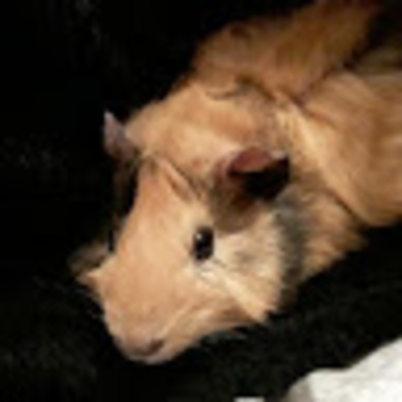 Meet your Posher, Jg - Picture 1 of 1